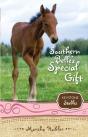 Southern Belle'S Special Gift - Preview