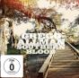 Southern Blood - CD - Preview