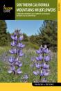 Southern California Mountains Wildflowers - Preview