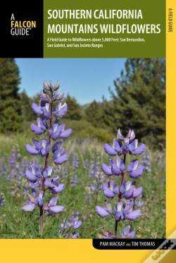 Capa do artigo Southern California Mountains Wildflowers