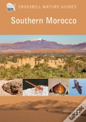 Capa do artigo Southern Morocco