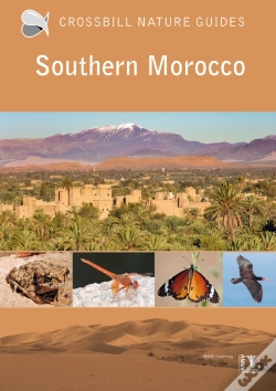 Capa do artigo Southern Morocco