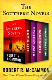 Capa do artigo Southern Novels