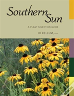 Capa do artigo Southern Sun