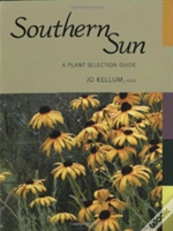 Capa do artigo Southern Sun