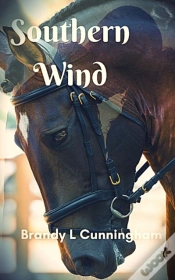 Capa do artigo Southern Wind