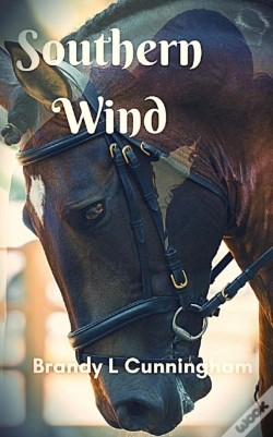 Capa do artigo Southern Wind