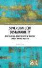 Sovereign Debt Sustainability - Preview