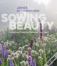 Sowing Beauty