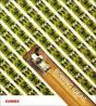 Sowing Ideas. Harvesting The Future. - Preview