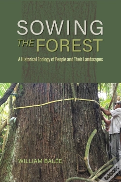 Capa do artigo Sowing The Forest