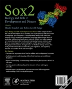 Capa do artigo Sox2