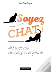 Capa do artigo Soyez Chat !