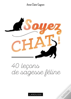 Capa do artigo Soyez Chat !