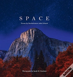 Capa do artigo Space