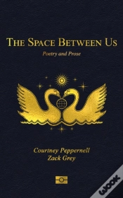 Capa do artigo Space Between Us