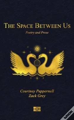 Capa do artigo Space Between Us