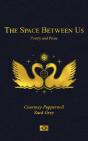Space Between Us - Preview