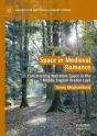 Space In Medieval Romance - Preview