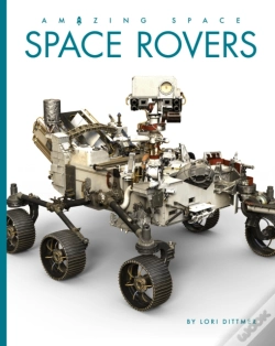 Capa do artigo Space Rovers
