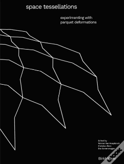 Capa do artigo Space Tessellations