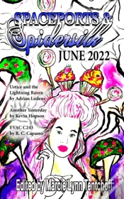 Capa do artigo Spaceports & Spidersilk June 2022