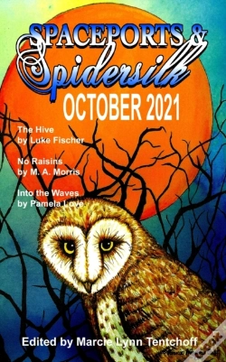 Capa do artigo Spaceports & Spidersilk October 2021