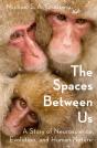 Spaces Between Us - Preview