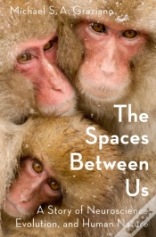 Capa do artigo Spaces Between Us