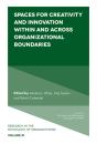 Spaces For Creativity And Innovation Within And Across Organizational Boundaries - Preview