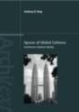 Spaces Of Global Cultures - Preview