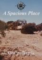 Spacious Place - Preview