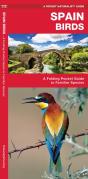 Spain Birds - Preview