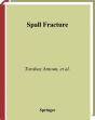 Spall Fracture - Preview