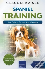 Capa do artigo Spaniel Training - Dog Training For Your