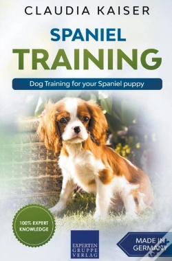 Capa do artigo Spaniel Training - Dog Training For Your