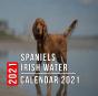 Spaniels Irish Water Calendar 2021 - Preview