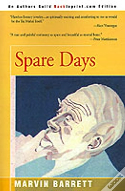 Capa do artigo Spare Days
