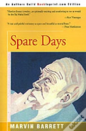 Capa do artigo Spare Days