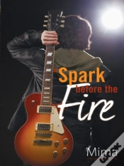 Capa do artigo Spark Before The Fire