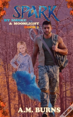 Capa do artigo Spark