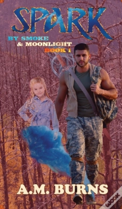 Capa do artigo Spark