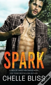 Capa do artigo Spark