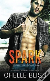 Capa do artigo Spark