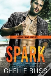 Capa do artigo Spark