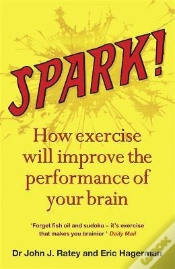 Capa do artigo Spark