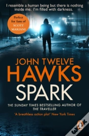 Capa do artigo Spark