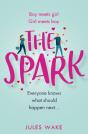 Spark - Preview
