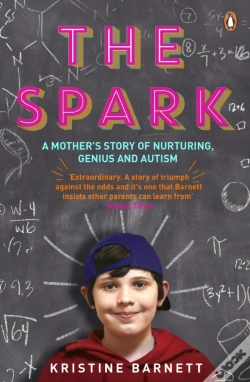Capa do artigo Spark