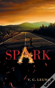 Capa do artigo Spark